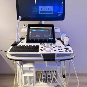 GE Logiq E10 Ultrasound System